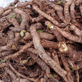 Zakhm-e-Hayat-Bergenia Ciliata-زخم حیات