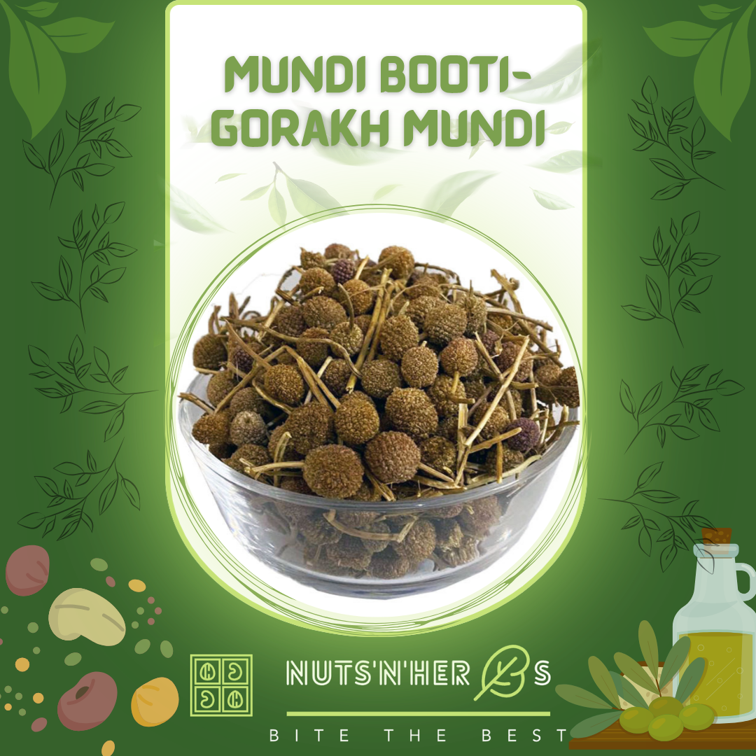 Mundi Booti-Gorakhmundi-Sphaeranthus indicus-منڈی بوٹی