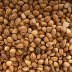 Mahlab seeds-Mahalab-مہلب