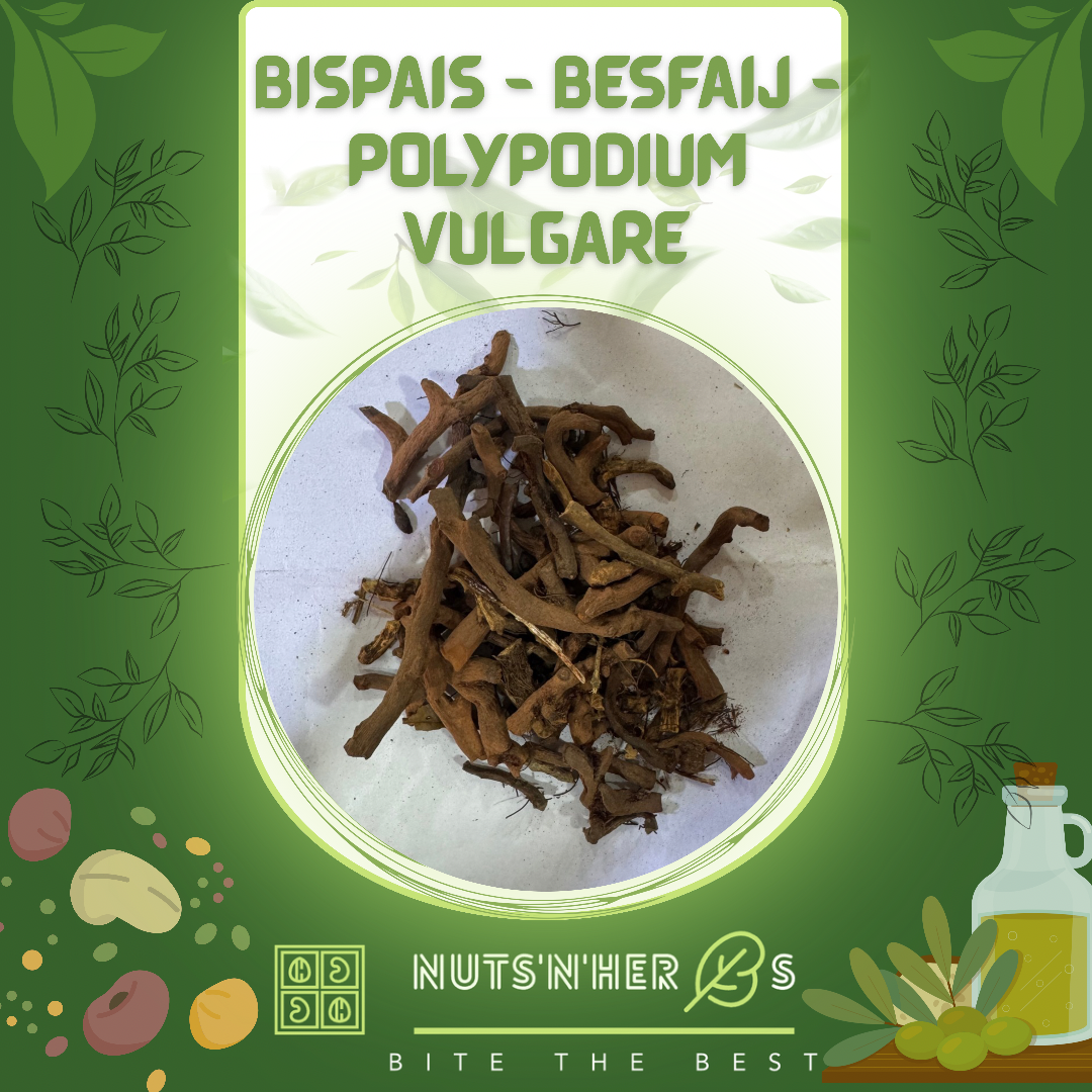 Bispais-Besfaij-Polypodium vulgare-Bisfaij-بسفائج