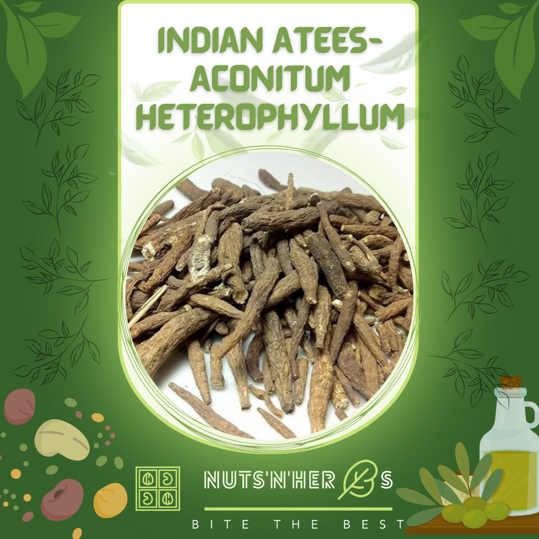 Indian Atees-Aconitum Heterophyllum-اتیس