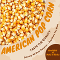 Pop Corn(American Corn)