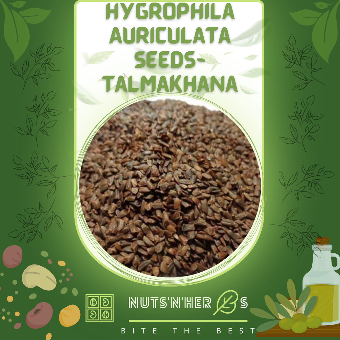 Talmakhana-Hygrophila Auriculata Seeds-تال مکھانہ