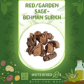 Behman Surkh-Red Sage-Garden Sage-بہمن سرخ