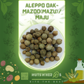 Mazoo/Mazu-Aleppo Oak-مازو سبز