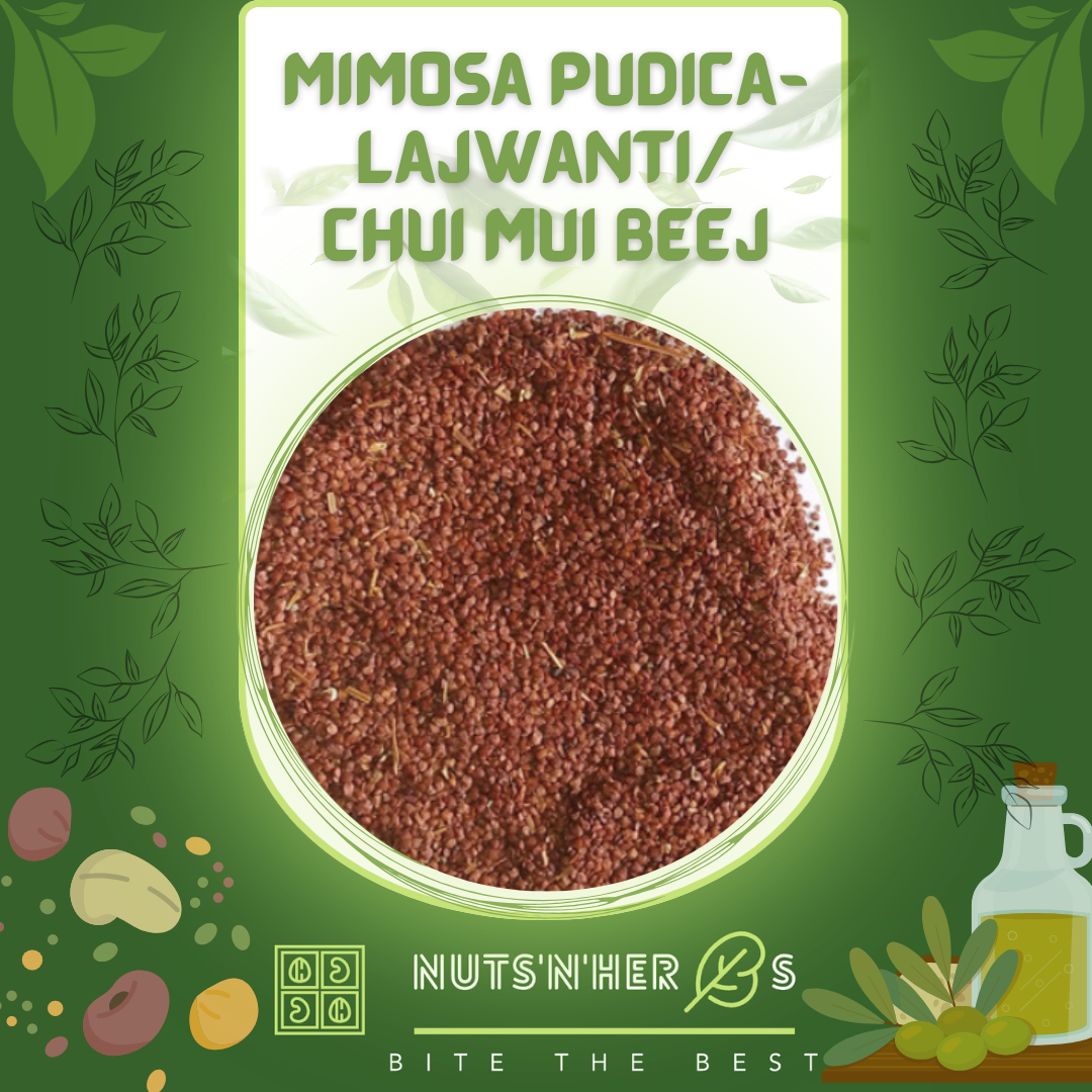 Lajwanti/Chui Mui Beej-Mimosa Pudica Seeds-لاجونتی