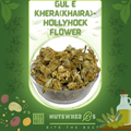 Gul e Khera(Khaira)-Gul Khatmi-Hollyhock Flower-گل خطمی