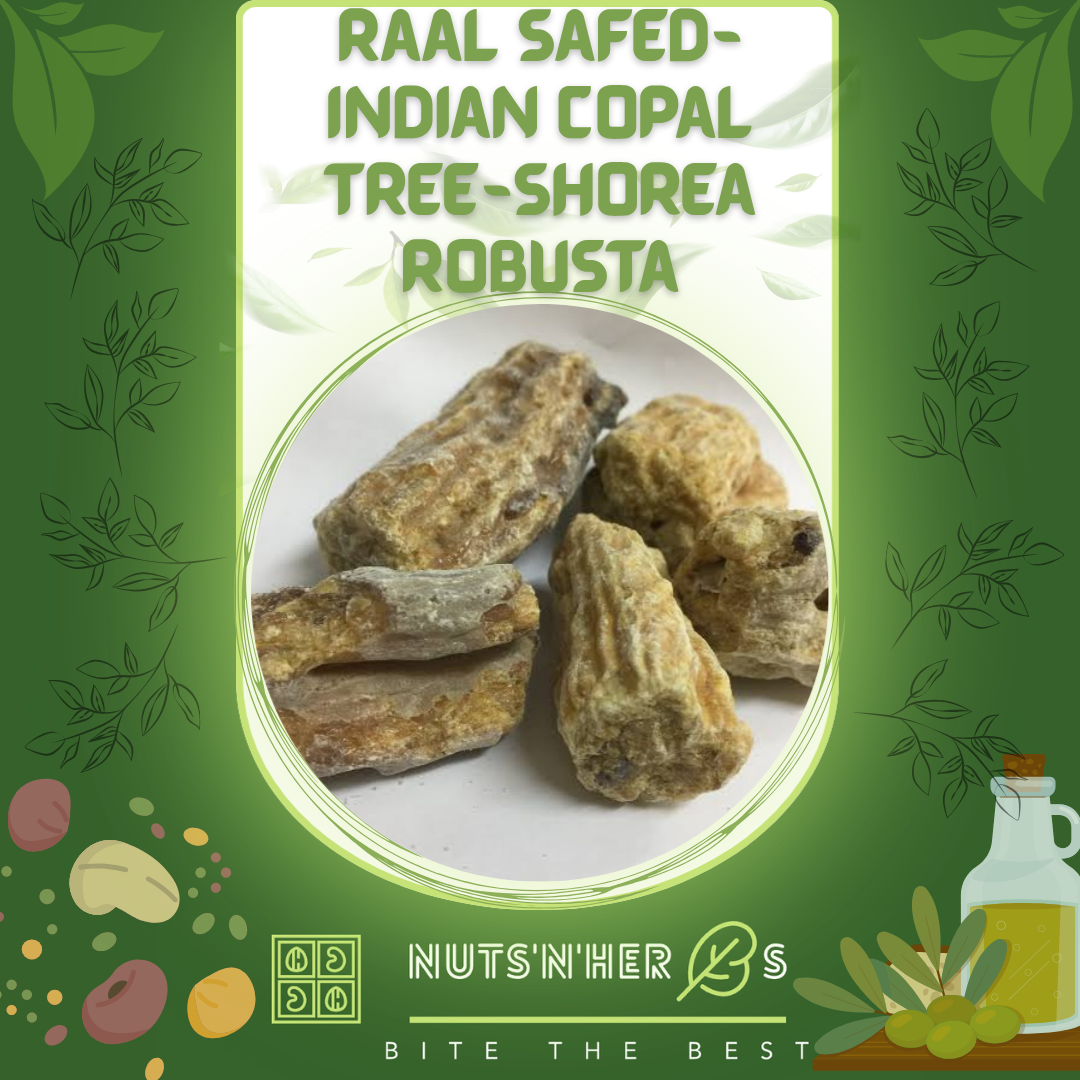 Raal Safed-Indian Copal Tree-Shorea Robusta-رال سفید