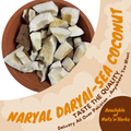 Naryal Daryai-Sea Coconut-ناریل دریائی