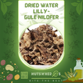 Gul e Nilofer-Dried Water Lilly Flowers-گل نیلوفر