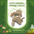 Kuth Sheerin-Marine Costus-قسط شیریں
