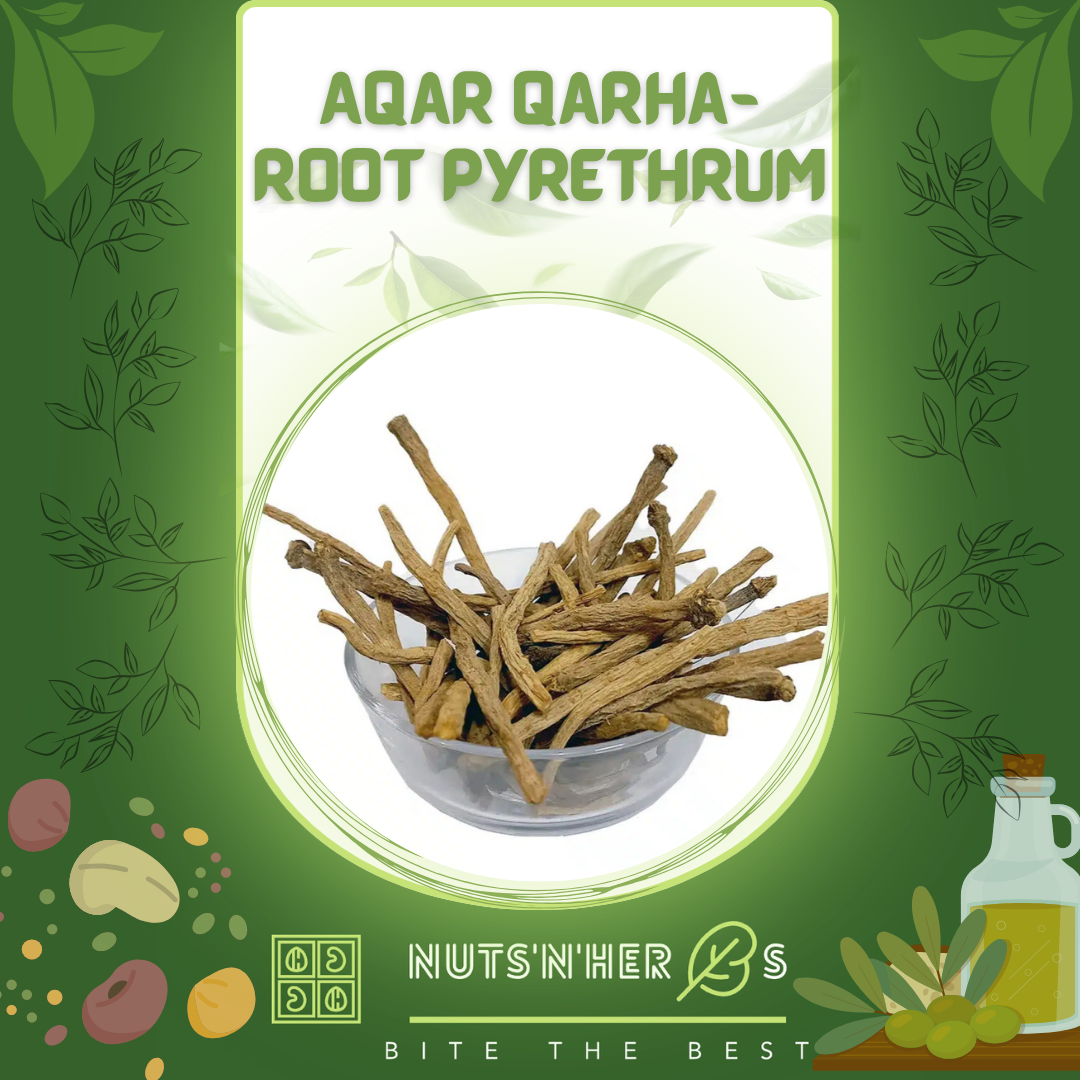 Aqar Qarha-Root Pyrethrum-عقرقرا