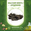 Balchar Booti-Jatamansi-بالچھڑ