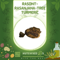 Rasont-Rasaunt-Rasanjana-Tree Turmeric-رسوت