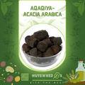 Aqaqia-Aqaqiya-Acacia Arabica-اقاقیہ