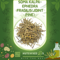 Soma Kalpa-Ephedra Fragilis(Joint Pine)-سوما کلپا