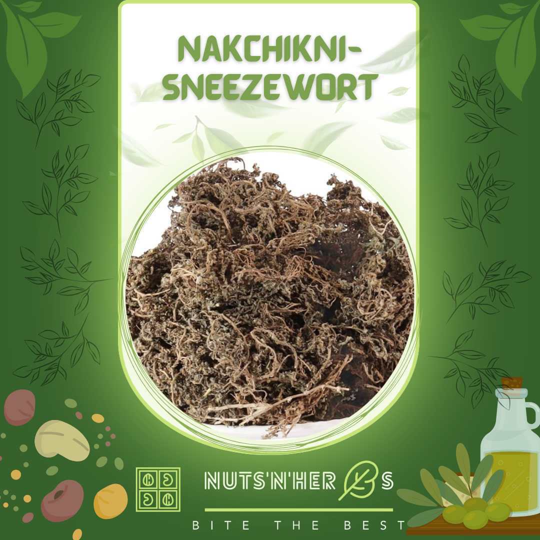 Nakchikni-Sneezewort-نک چھکنی