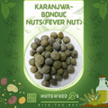 Karanjwa-Bonduc Nuts(Fever Nut)-کرنجوہ