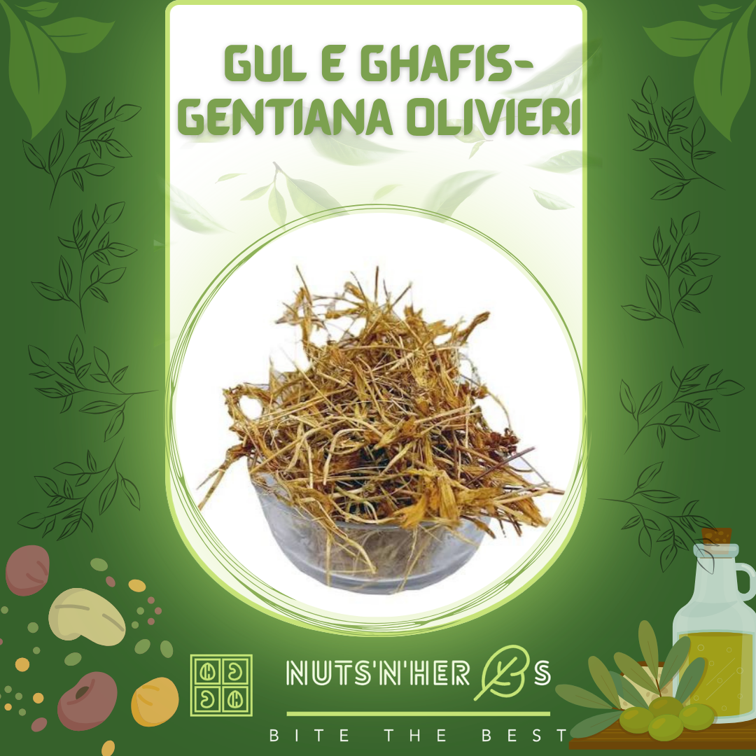 Gul e Ghafis-Gentiana Olivieri-گل غافث