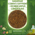 Nagkesar(Mesua ferrea)-Ochrocarpus Longifolius-Cobra’S Saffron-ناگ کیسر