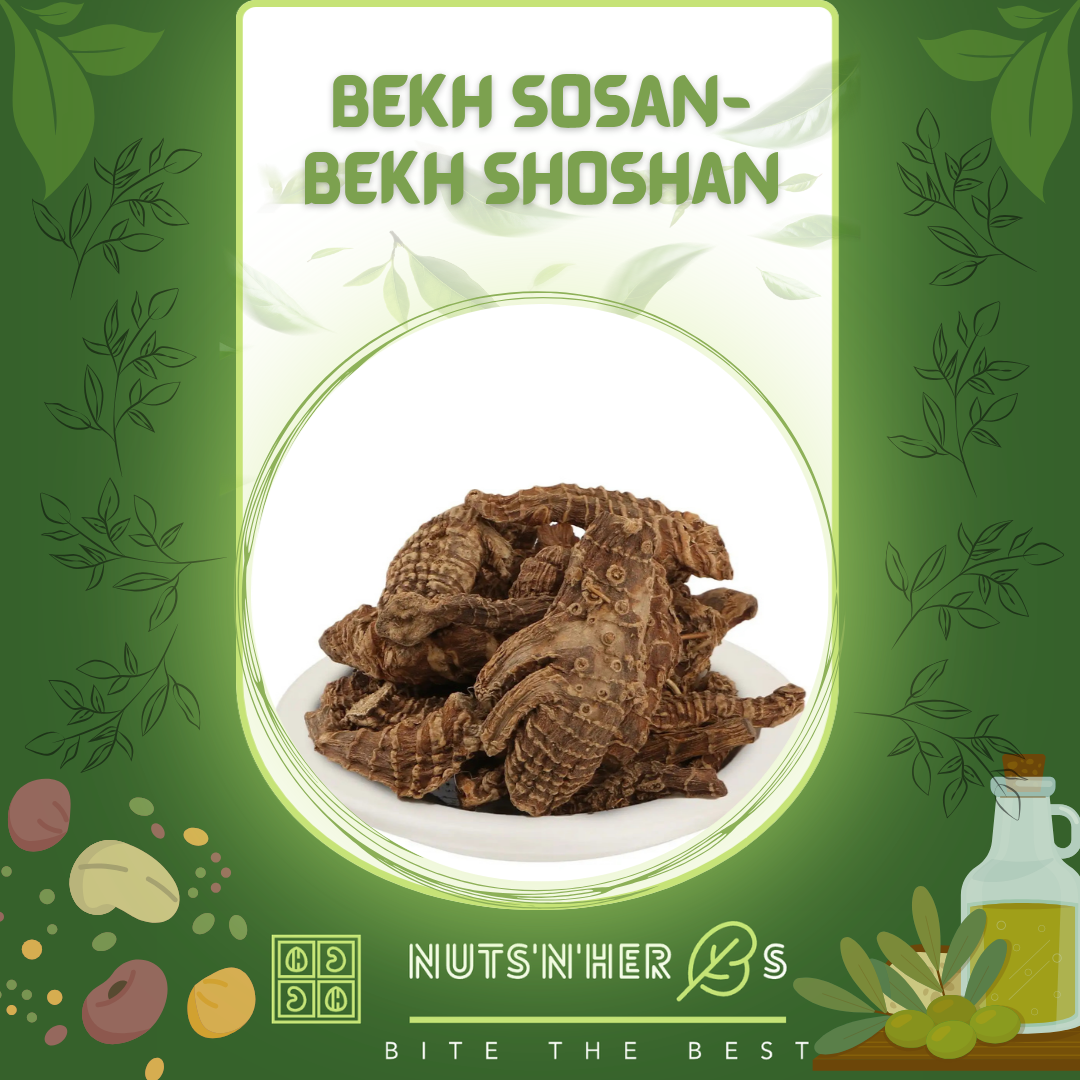 Bekh Sosan-Bekh Shoshan-بیخِ سوسن