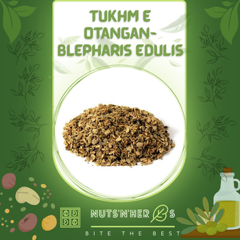 Tukhm e Otangan-Blepharis Edulis-تخم اوٹنگن