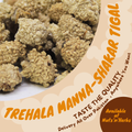 Trehala Manna-Shakar Tigal-شکر تیغال