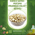 Konch Safed-Mucuna Pruriens(Velvet Beans)- کونچ سفید