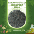 Babchi-Psoralea Corylifolia Seeds-بابچی