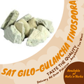 Sat Gilo-Gulancha Tinospora-ست گلو