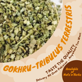 Gokhru-گھوکرو-Gokshura-Tribulus Terrestris