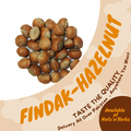 Findak-Hazelnut-Corylus Avellana Linn