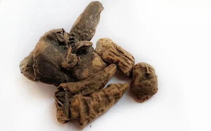 Metha Telia/Bachnag-Aconitum Ferox-میٹھا تیلیا