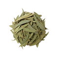 Safeeda Patay-Dried Eucalyptus Leaves-سفیدہ