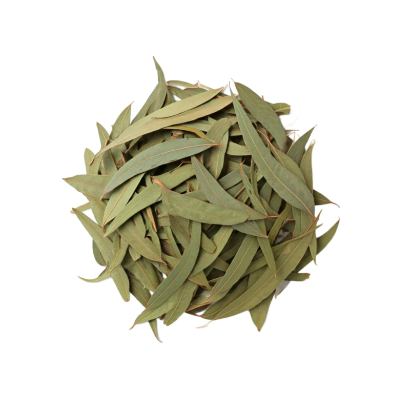 Safeeda Patay-Dried Eucalyptus Leaves