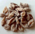 Salab Misri-Salep Orchid-Orchis Latifoliaa-ثعلب مصری