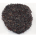 Plumed Cockscomb Seeds-Sirwali/Salara-سلارہ