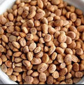 Magaz Chironji Seeds-Buchanania Lanzan(without shell)-مغز چرنجی