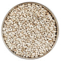 Qurtam-Safflower Seeds-قرطم